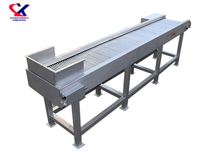 河南O型果专用选果机