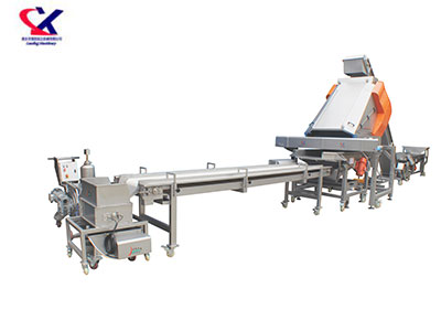 河南葡萄除梗粒选生产线