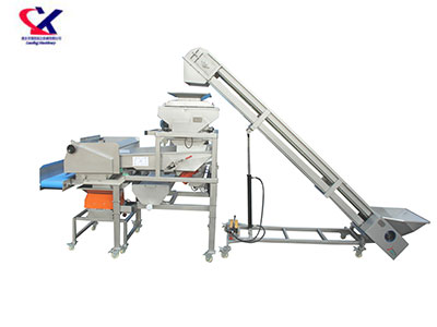 河南振动式除梗粒选生产线