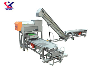 河南转筒式脱梗粒选生产线