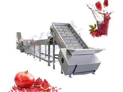 河南石榴果汁生产线