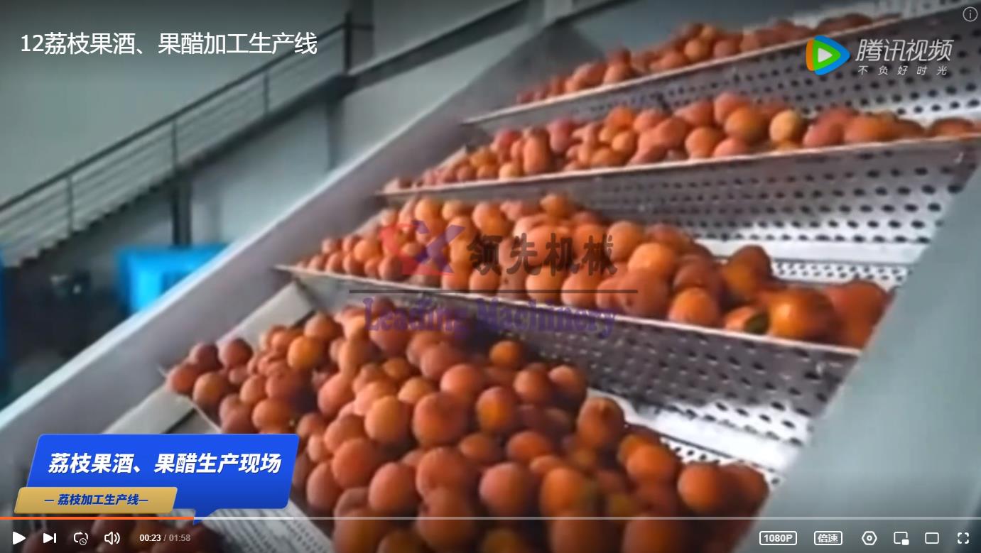 荔枝果酒、果醋加工生产线